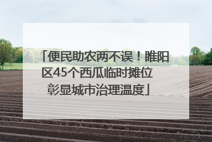 便民助农两不误！睢阳区45个西瓜临时摊位 彰显城市治理温度