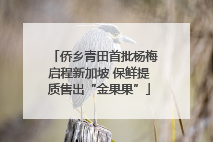 侨乡青田首批杨梅启程新加坡 保鲜提质售出“金果果”