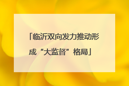 临沂双向发力推动形成“大监督”格局