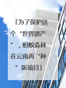 为了保护这个“世界遗产”，蚂蚁森林在云南再“种”新项目