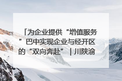 为企业提供“增值服务”巴中实现企业与经开区的“双向奔赴”｜川陕渝网络名人巴中行