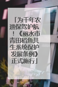 为千年农遗保驾护航！《丽水市青田稻鱼共生系统保护发展条例》正式施行