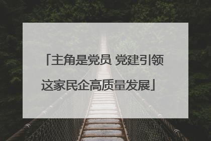 主角是党员 党建引领这家民企高质量发展