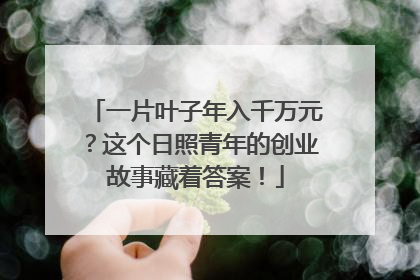 一片叶子年入千万元？这个日照青年的创业故事藏着答案！