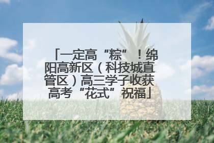一定高“粽”！绵阳高新区（科技城直管区）高三学子收获高考“花式”祝福