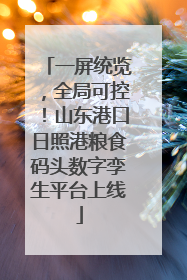 一屏统览，全局可控！山东港口日照港粮食码头数字孪生平台上线
