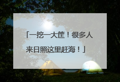 一挖一大筐！很多人来日照这里赶海！