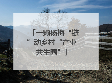 一颗杨梅“链”动乡村“产业共生圈”