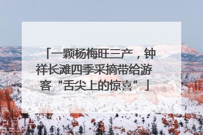 一颗杨梅旺三产，钟祥长滩四季采摘带给游客“舌尖上的惊喜”
