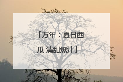 万年：夏日西瓜 清甜爆汁