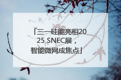 三一硅能亮相2025 SNEC展，智能微网成焦点