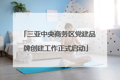 三亚中央商务区党建品牌创建工作正式启动