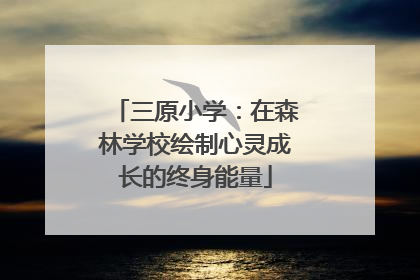 三原小学：在森林学校绘制心灵成长的终身能量