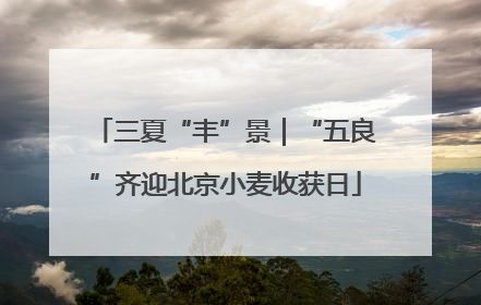 三夏“丰”景｜“五良”齐迎北京小麦收获日