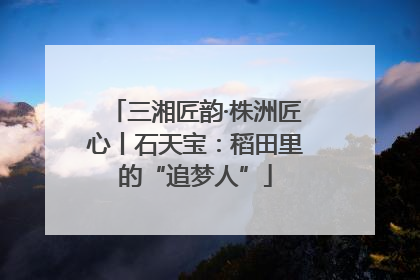 三湘匠韵·株洲匠心丨石天宝：稻田里的“追梦人”