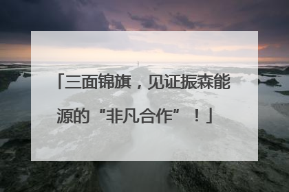 三面锦旗，见证振森能源的“非凡合作”！