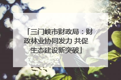 三门峡市财政局：财政林业协同发力 共促生态建设新突破