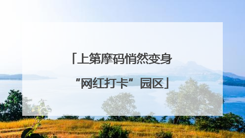 上第摩码悄然变身“网红打卡”园区