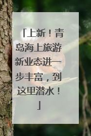 上新！青岛海上旅游新业态进一步丰富，到这里潜水！
