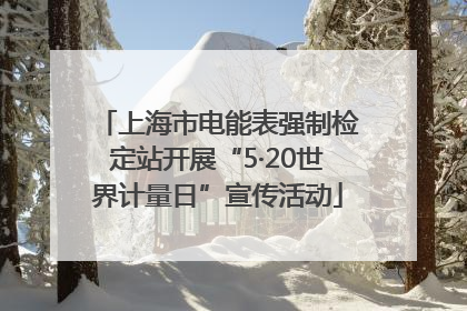 上海市电能表强制检定站开展“5·20世界计量日”宣传活动