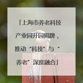 上海市养老科技产业园开园揭牌，推动“科技”与“养老”深度融合