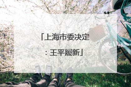 上海市委决定：王平履新