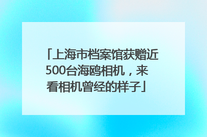 上海市档案馆获赠近500台海鸥相机，来看相机曾经的样子