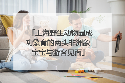 上海野生动物园成功繁育的两头非洲象宝宝与游客见面