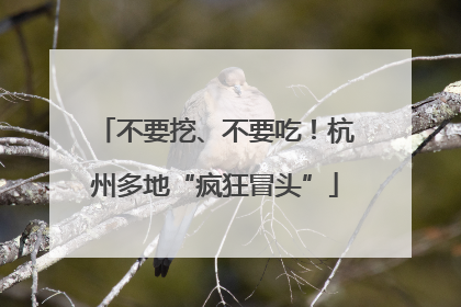 不要挖、不要吃！杭州多地“疯狂冒头”
