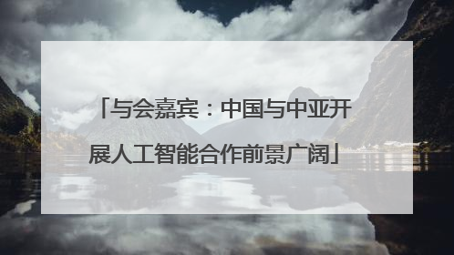 与会嘉宾：中国与中亚开展人工智能合作前景广阔