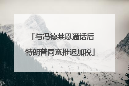 与冯德莱恩通话后 特朗普同意推迟加税