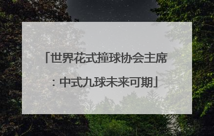 世界花式撞球协会主席：中式九球未来可期
