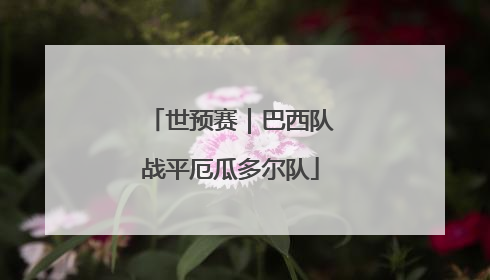 世预赛｜巴西队战平厄瓜多尔队