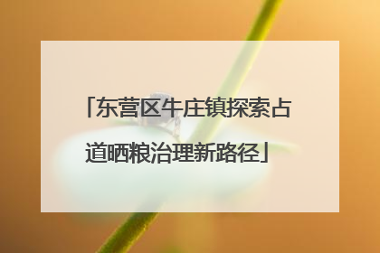 东营区牛庄镇探索占道晒粮治理新路径