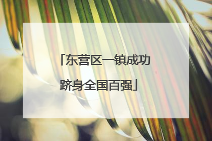 东营区一镇成功跻身全国百强