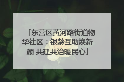 东营区黄河路街道物华社区：银龄互助焕新颜 共建共治暖民心
