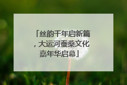 丝韵千年启新篇，大运河蚕桑文化嘉年华启幕