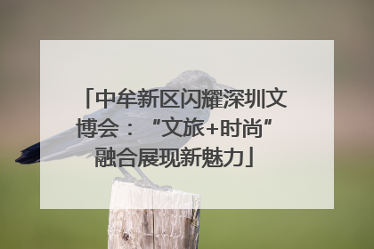 中牟新区闪耀深圳文博会：“文旅+时尚”融合展现新魅力