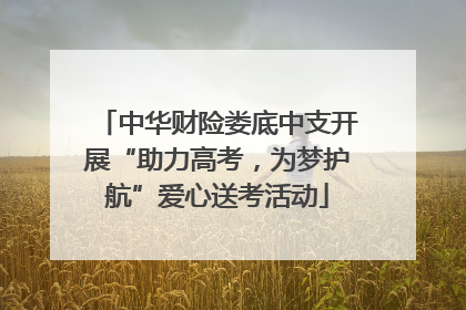 中华财险娄底中支开展“助力高考，为梦护航”爱心送考活动