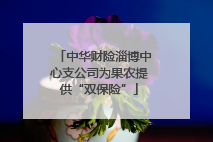 中华财险淄博中心支公司为果农提供“双保险”