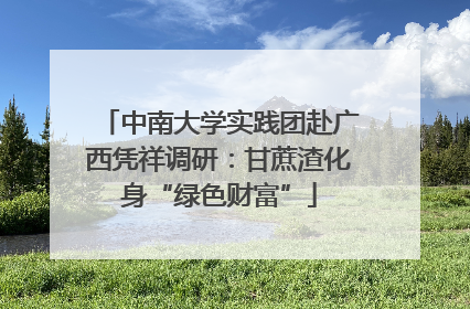 中南大学实践团赴广西凭祥调研：甘蔗渣化身“绿色财富”