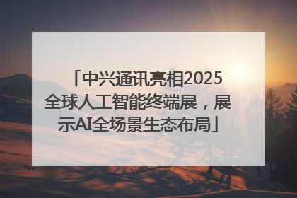 中兴通讯亮相2025全球人工智能终端展，展示AI全场景生态布局