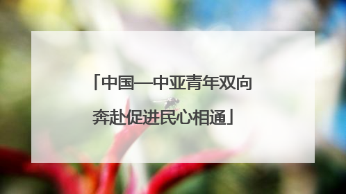 中国—中亚青年双向奔赴促进民心相通