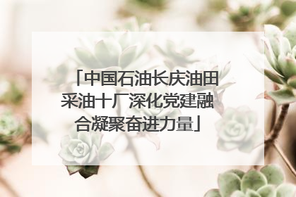 中国石油长庆油田采油十厂深化党建融合凝聚奋进力量