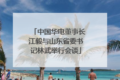 中国华电董事长江毅与山东省委书记林武举行会谈