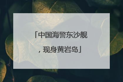 中国海警东沙舰，现身黄岩岛