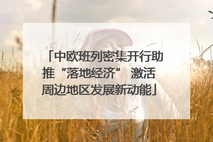 中欧班列密集开行助推“落地经济” 激活周边地区发展新动能