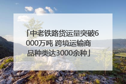 中老铁路货运量突破6000万吨 跨境运输商品种类达3000余种