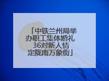中铁兰州局举办职工集体婚礼 36对新人情定陇南万象街