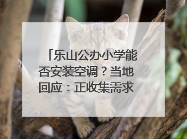 乐山公办小学能否安装空调？当地回应：正收集需求，部分中小学已启动安装｜云求助